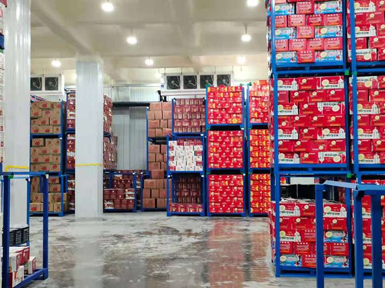 果蔬如何來判別是建造保鮮冷庫還是氣調冷庫?