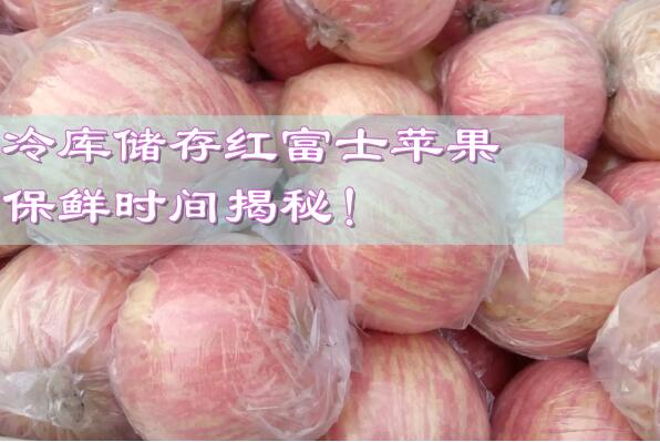 冷庫儲存紅富士蘋果,保鮮時間揭秘!