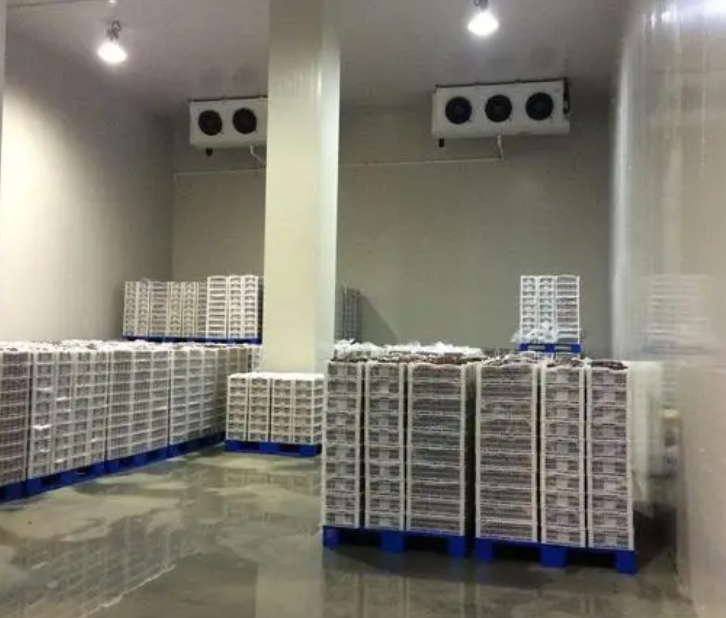 規范建造100平帶魚冷庫,為食品保鮮護航