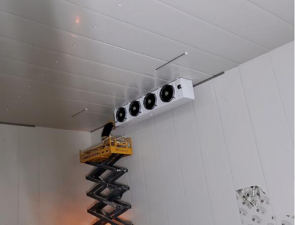 辣椒保鮮庫(kù)建造流程有哪些？_開(kāi)冉制冷