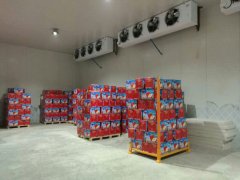 山東安裝一個(gè)500噸蘋果保鮮庫(kù)需要多少錢?