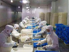 青島安裝一個(gè)水產(chǎn)海鮮冷凍庫(kù)需要多少錢?