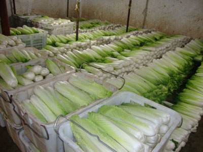 我想建一個蔬菜水果保鮮庫,冷庫溫度是多少 我想建一個蔬菜水果保鮮庫,冷庫溫度是多少