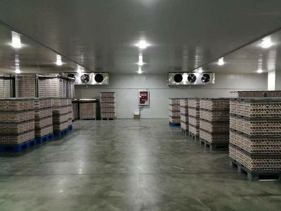 食品冷庫的庫內(nèi)實拍圖 食品冷庫的庫內(nèi)實拍圖