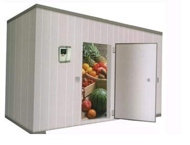 1573052867864518.jpg timg.jpg