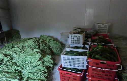 蔬菜保鮮庫(kù) 蔬菜保鮮庫(kù)