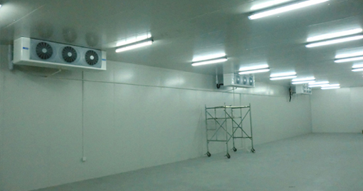 5000噸大蒜需建多大冷庫,冷庫造價多少錢 5000噸大蒜需建多大冷庫,冷庫造價多少錢