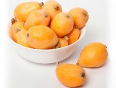 枇杷冷庫貯藏技術(shù)介紹，枇杷冷庫造價(jià)是多少