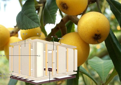 枇杷冷庫 枇杷冷庫