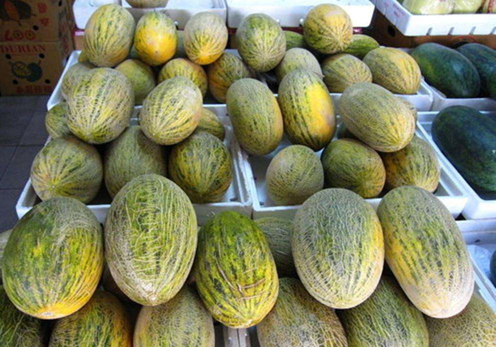 哈密瓜保鮮冷庫(kù) 哈密瓜保鮮冷庫(kù)