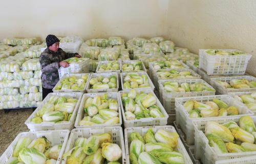 果蔬冷庫設(shè)計安裝 果蔬冷庫設(shè)計安裝