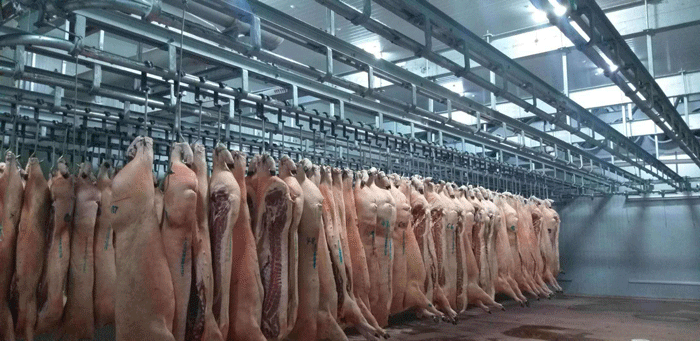 低溫速凍肉類(lèi)冷庫(kù) 低溫速凍肉類(lèi)冷庫(kù)