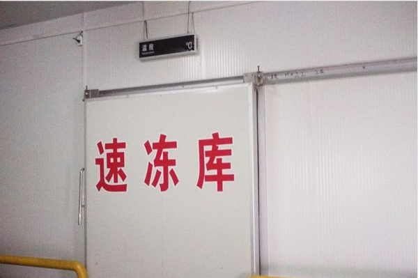 1500平方高4米低溫速凍冷庫 1500平方高4米低溫速凍冷庫