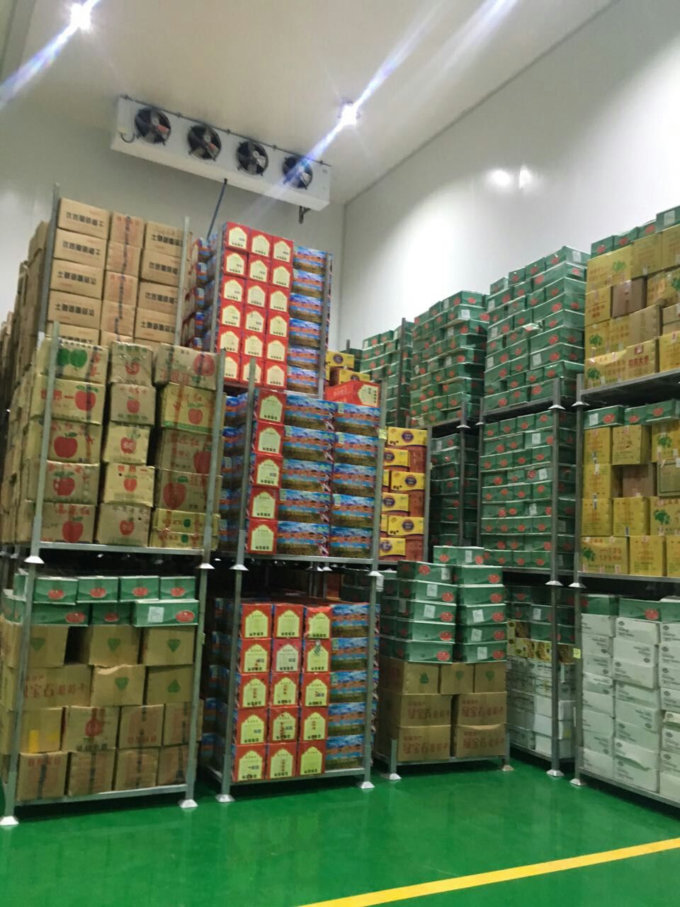 山東3000噸水果保鮮庫 山東3000噸水果保鮮庫