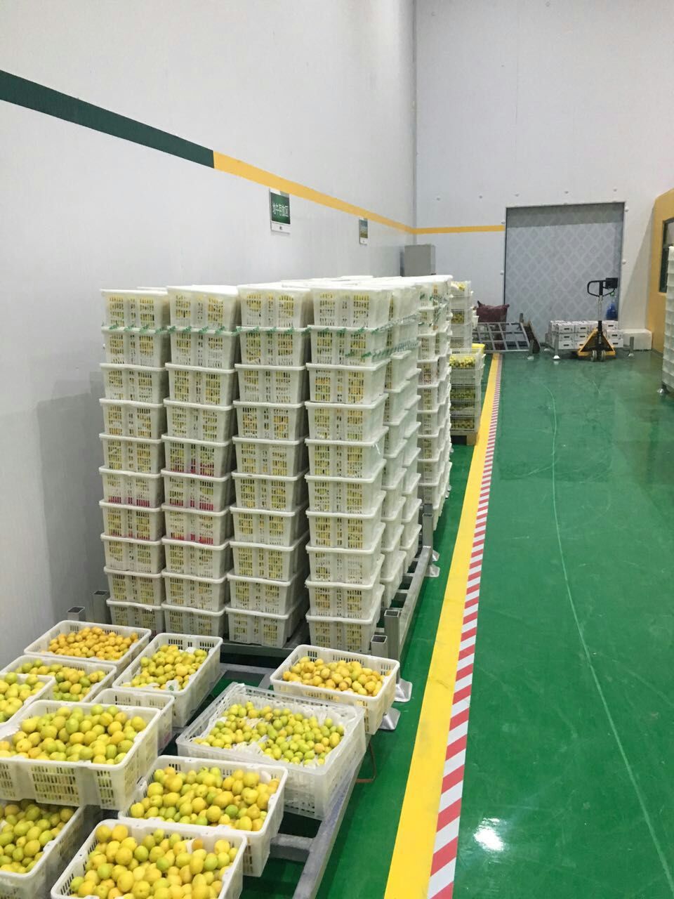 山東3000噸水果保鮮庫 山東3000噸水果保鮮庫