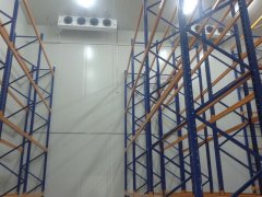 1000噸大姜冷庫(kù)安裝費(fèi)用是多少錢?