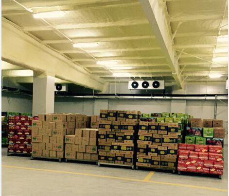 800平米水果保鮮冷庫 800平米水果保鮮冷庫