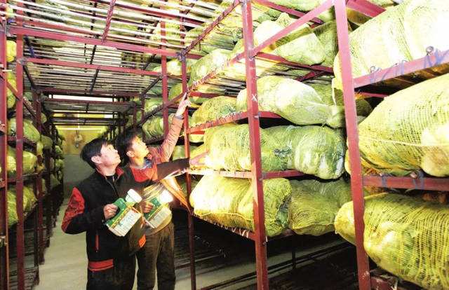 1000立方果蔬保鮮庫 1000立方果蔬保鮮庫