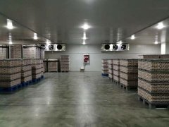 定制一個1000立方食品冷藏庫,需要多少錢?