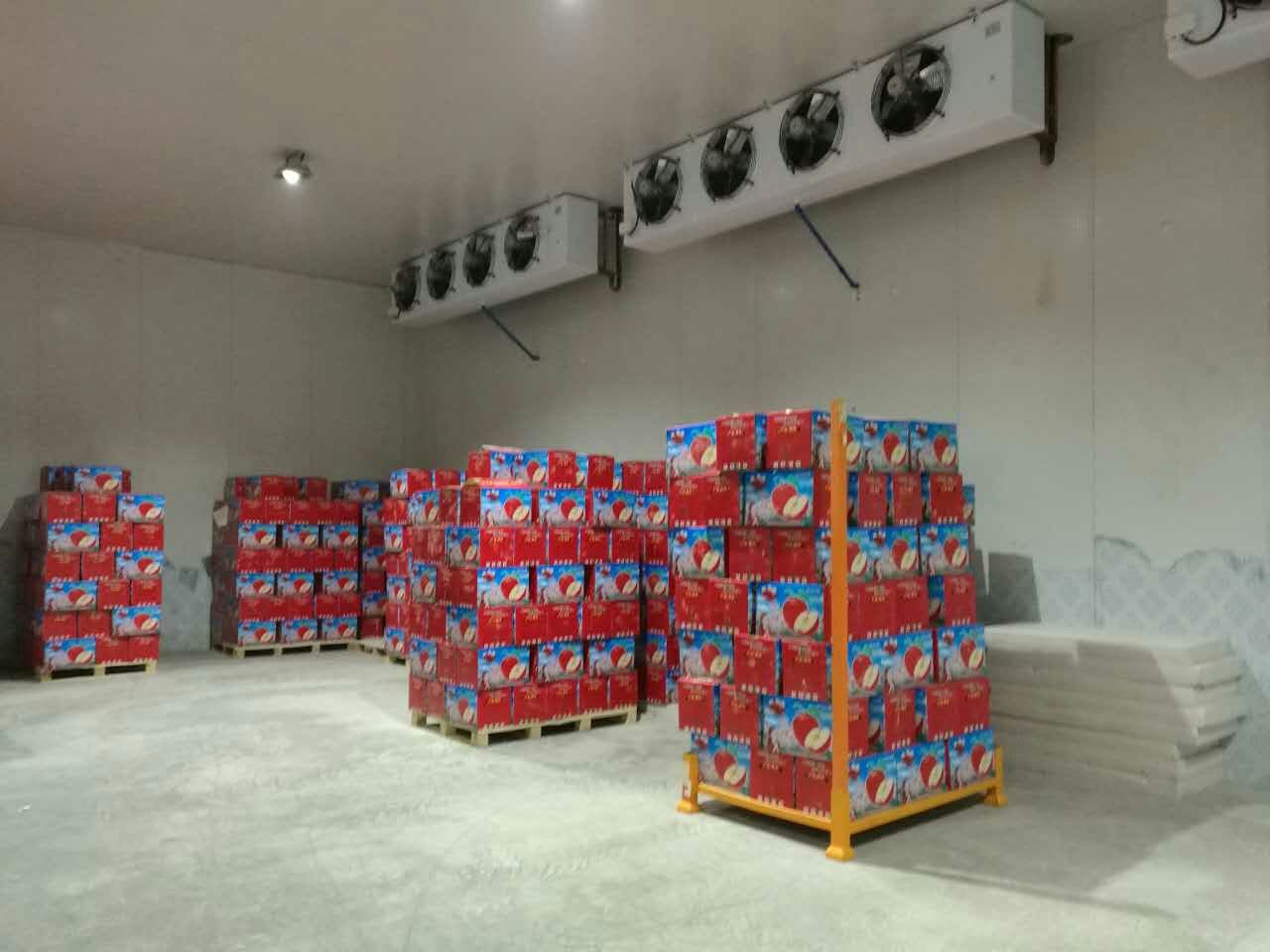 4000平方蘋果冷庫 4000平方蘋果冷庫