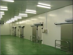 2500噸牛肉冷凍庫,冷庫價格及能耗