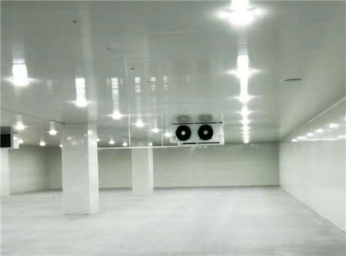 一萬(wàn)平出租型冷庫(kù)