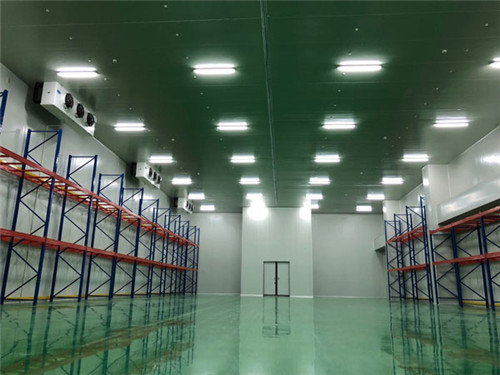 一萬(wàn)平出租型冷庫(kù)