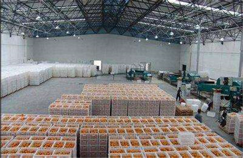 丑橘保鮮冷庫(kù) 丑橘保鮮冷庫(kù)