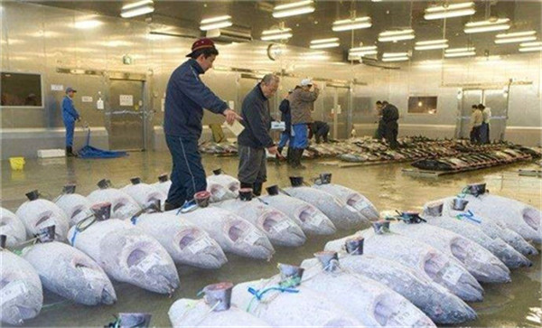 浙江-60℃超低溫凍庫 浙江-60℃超低溫凍庫