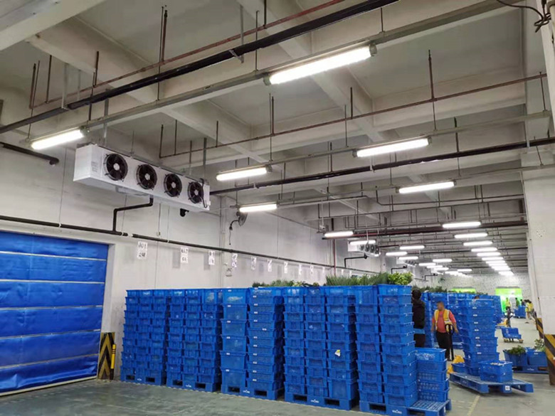 投資大型冷鏈配送中心冷凍庫設備安裝費用多少 投資大型冷鏈配送中心冷凍庫設備安裝費用多少