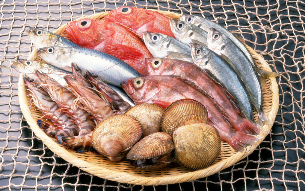 -18℃~-25℃冷凍食品低溫倉儲設備安裝費用多少錢 -18℃~-25℃冷凍食品低溫倉儲設備安裝費用多少錢