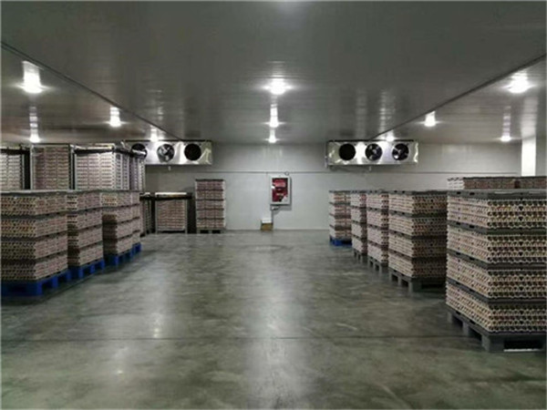 糧食冷庫建造 糧食冷庫建造