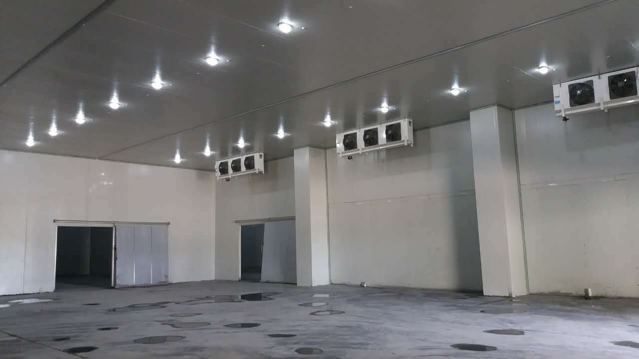 1630480543268236.jpg 1630480543268236.jpg