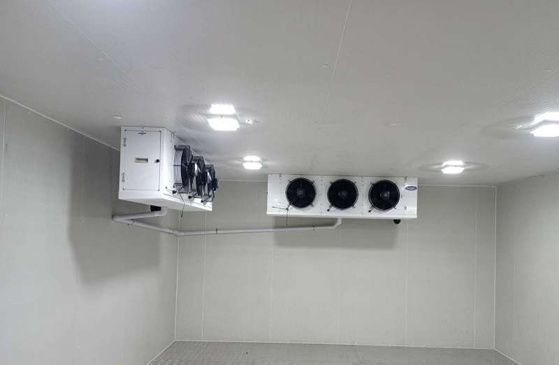 1633846258454283.jpg 1633846258454283.jpg