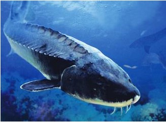 水產品保鮮冷庫，海鮮冷凍庫