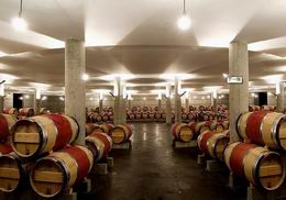 葡萄酒儲(chǔ)存溫度-上海開冉