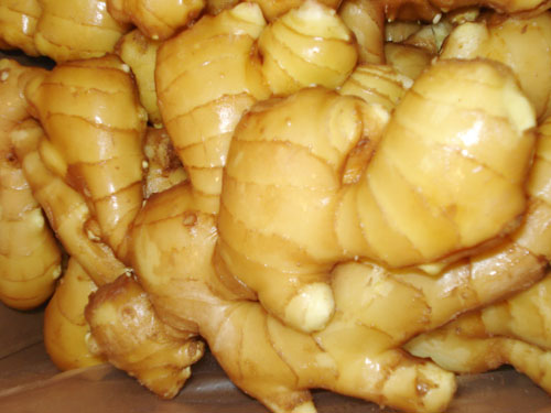 生姜保鮮庫(kù)