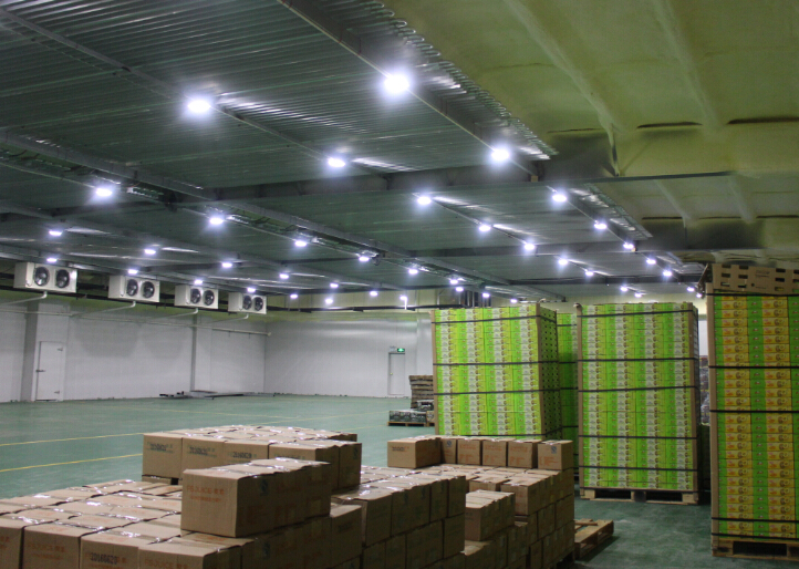 啤酒冷藏庫建設(shè)