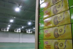 哪些是1000噸小型冷庫(kù)建造價(jià)格因素?