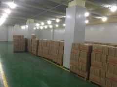 建500噸凍肉冷凍冷庫投資,占地面積多少