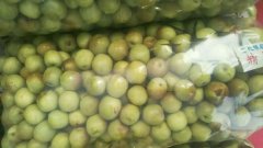 凍庫設計,冬棗保鮮庫多少錢?