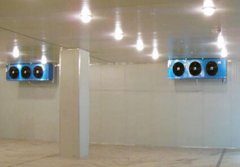 廠房改建低溫倉凍庫預算,凍庫設計造價