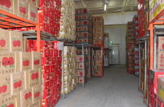 建造一個獼猴桃冷庫需要投資多少錢？