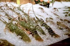 海鮮保存溫度？海鮮冷凍庫價格多少錢