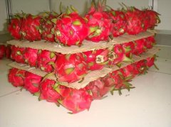 做一個水果氣調保鮮庫安裝大概需要多少錢？