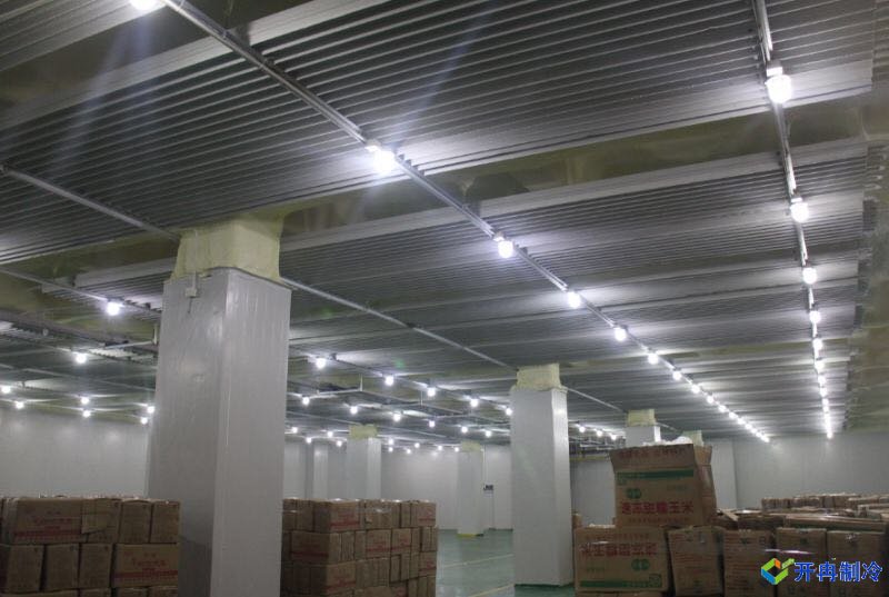 上海開冉制冷為客戶建一個(gè)3000平水產(chǎn)冷凍庫(kù)案例完工內(nèi)景