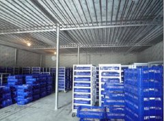 200噸葡萄保鮮庫建造，1000m3葡萄放冷庫可以放多久