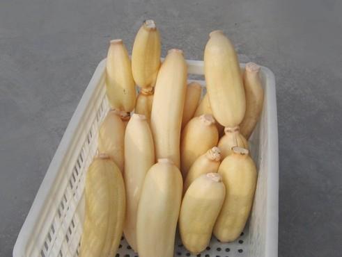 100噸的蓮藕怎么保鮮,蓮藕保鮮庫設計及造價