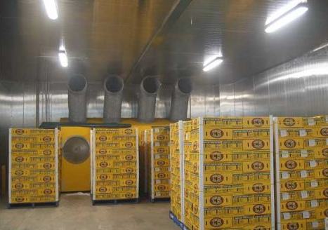 建造拼裝式冷藏庫放水果多少錢,拼裝式冷庫造價