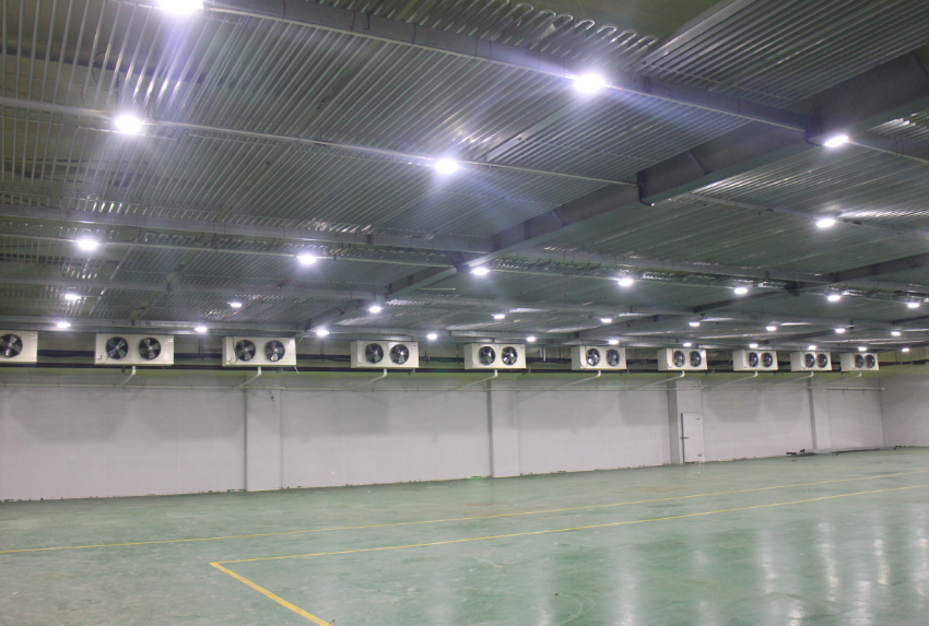  2000平-18℃牛肉凍庫倉儲改造，肉類低溫庫造價